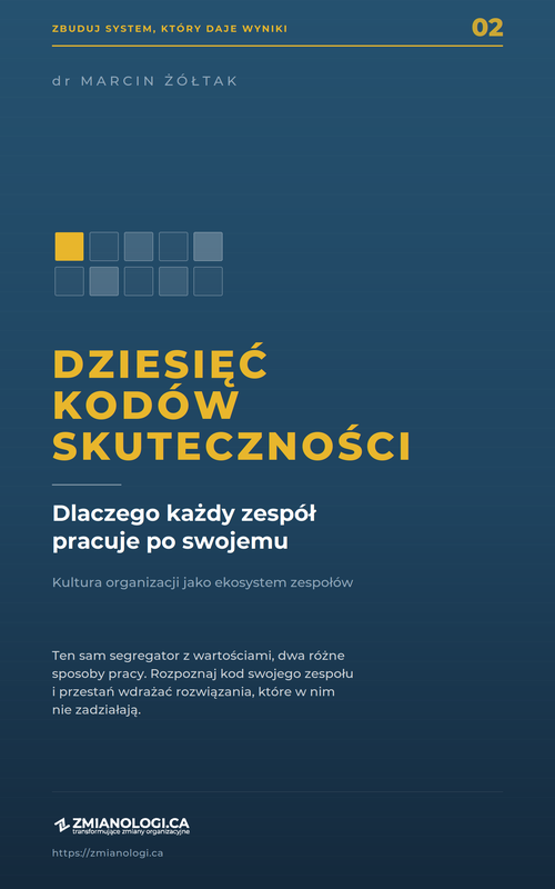 DZIESIĘĆ KODÓW SKUTECZNOŚCI — okładka